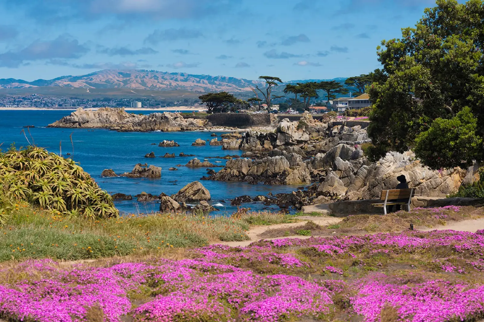 Chabad of Monterey