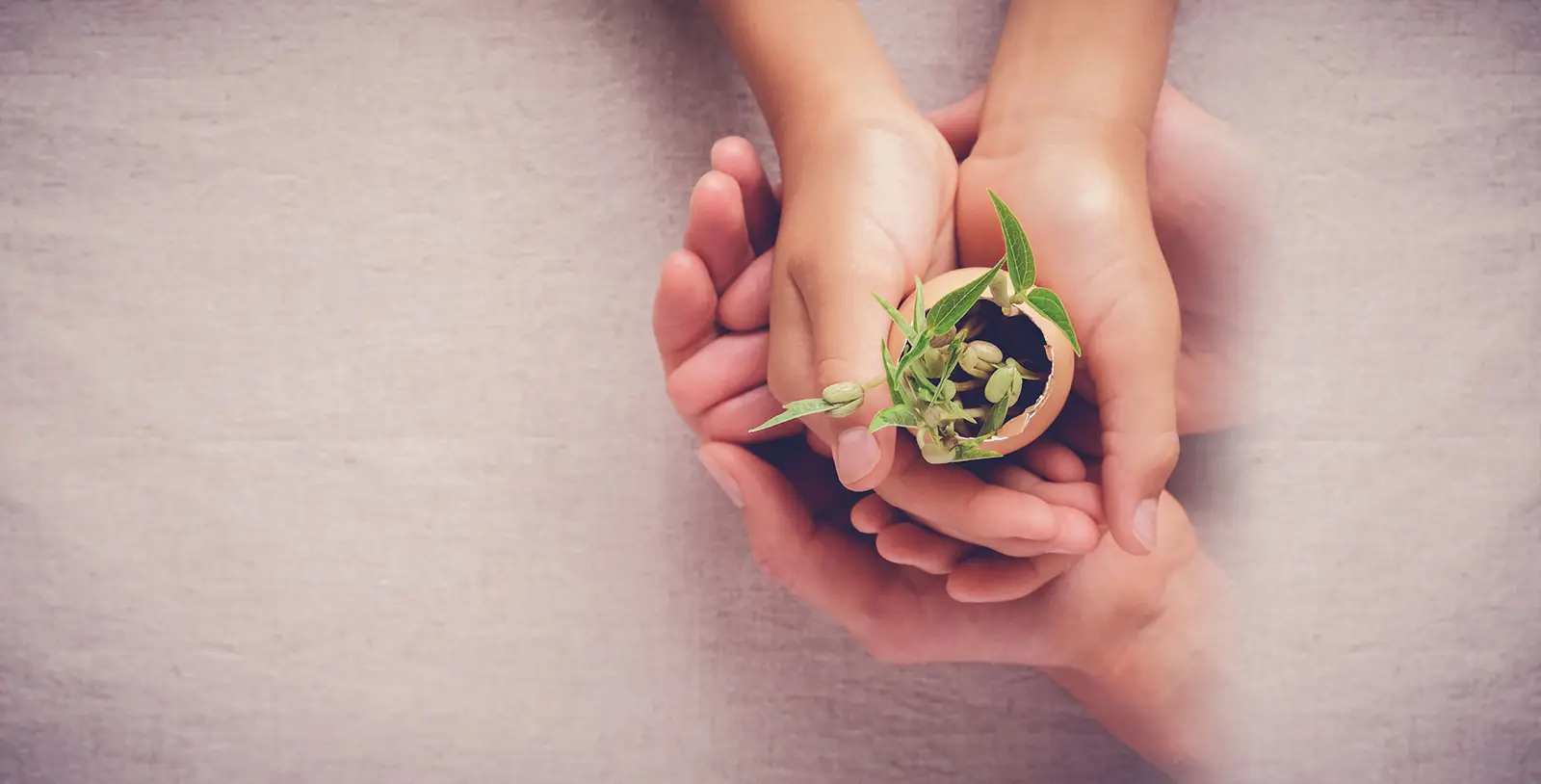 The Garden Preschool & ELC