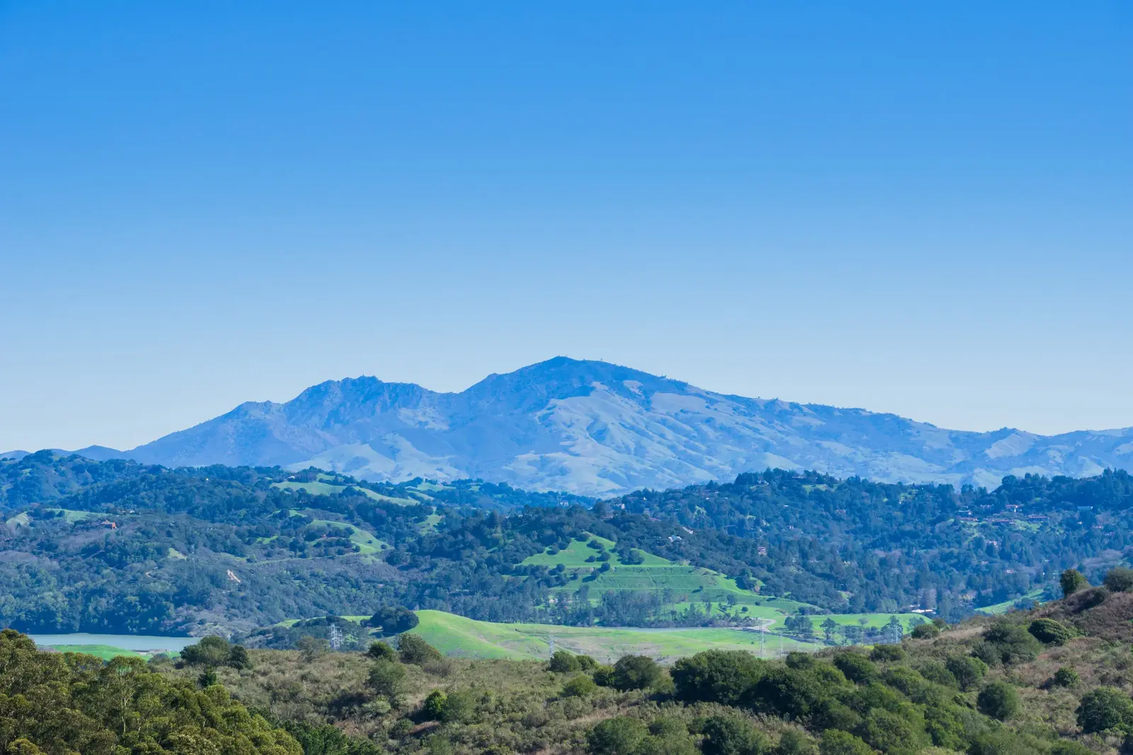 Chabad of the Tri - Valley