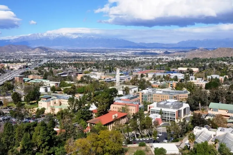 Chabad of UCR