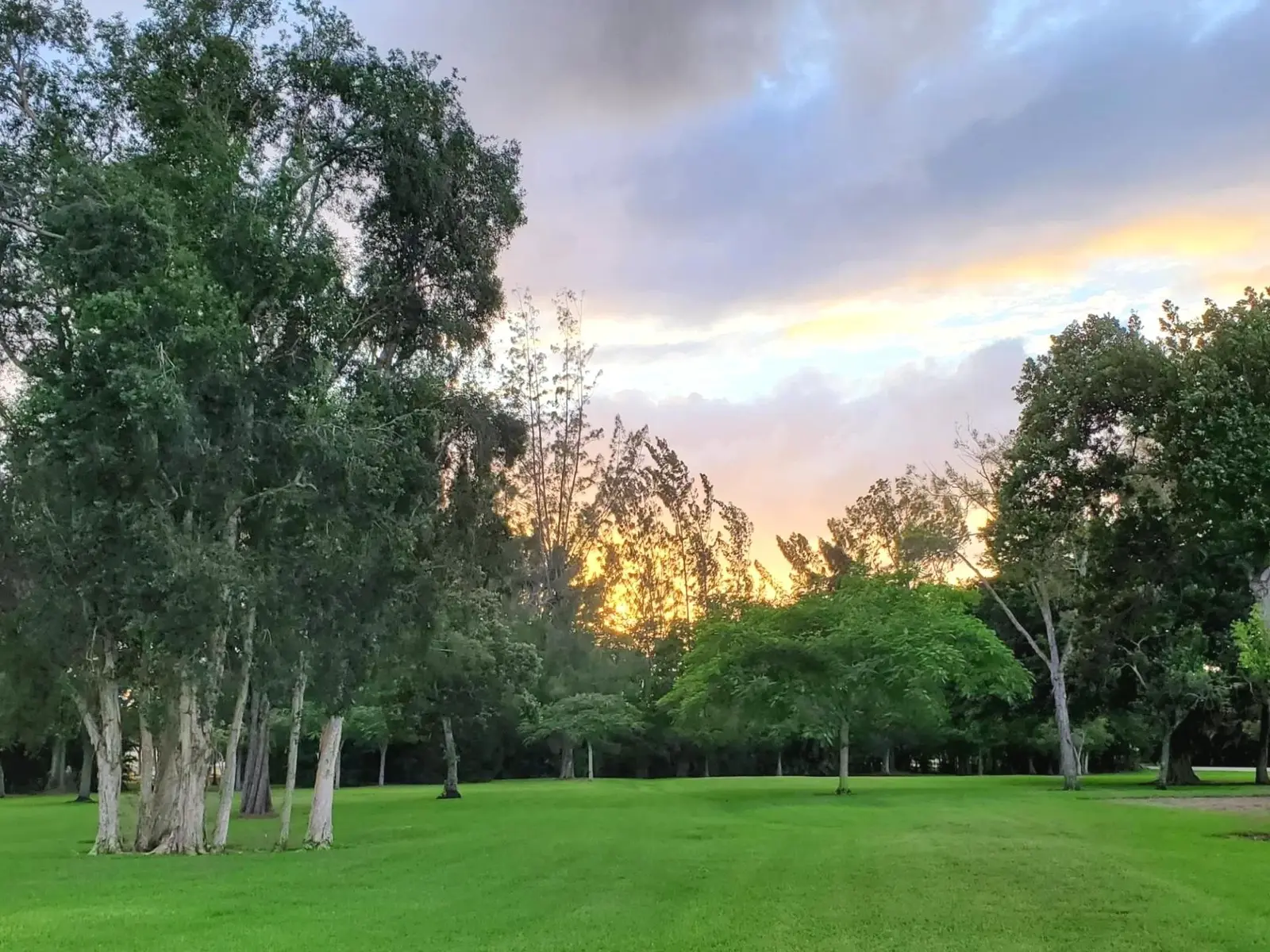 Chabad of Plantation Acres