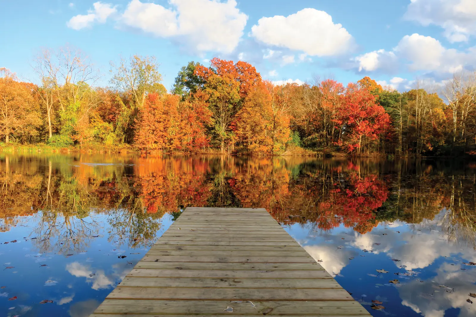 Chabad-Lubavitch of Southern Rensselaer County
