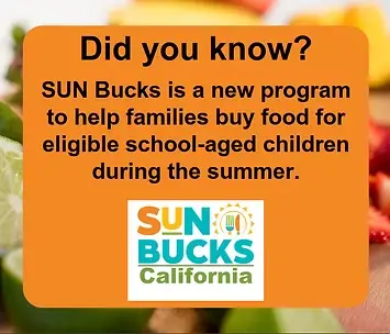 Sunbucks infographic.png