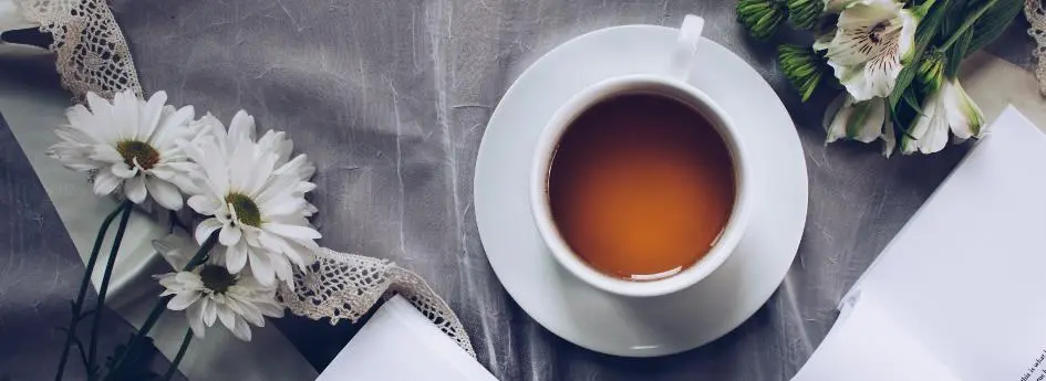 ChabadStamford.org