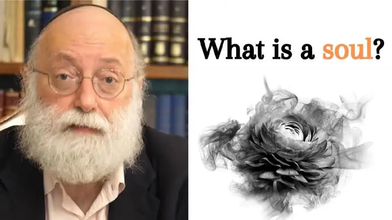 The Kabbalistic Definition of 'SOUL' will BLOW Your mind MLC TV What is a soul? Watch Now