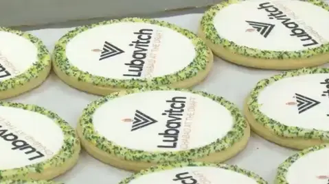Sugar cookies with the Lubavitch at the draft logo on them