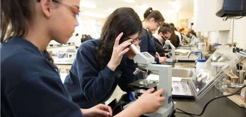 Préscolaire Primaire Secondaire