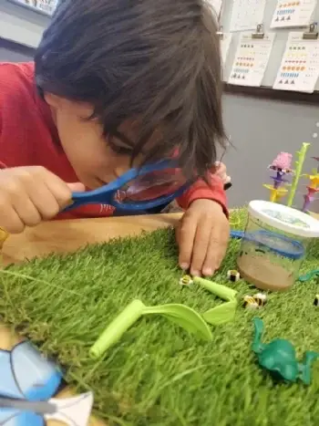 Preschool