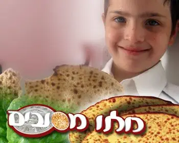 אירוח ליל הסדר עם חב"ד חג הפסח