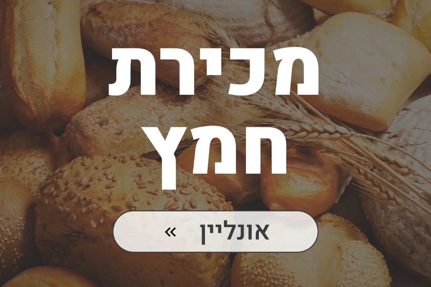 מכירת חמץ אונליין