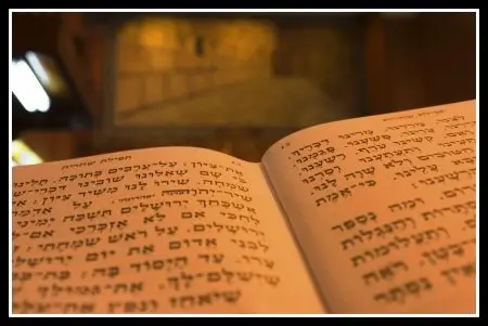 בית כנסת ובית מדרש