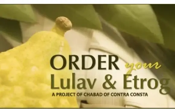 Lulav