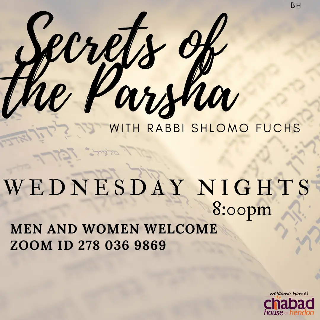 Elevate your Wednesday evenings from your home by joining Torah Explorations with Rabbi Shlomo Fuchs.