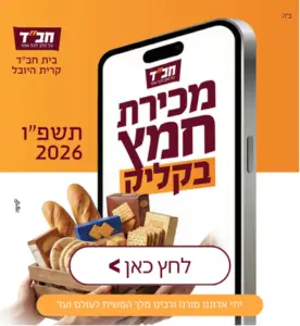 דוידי