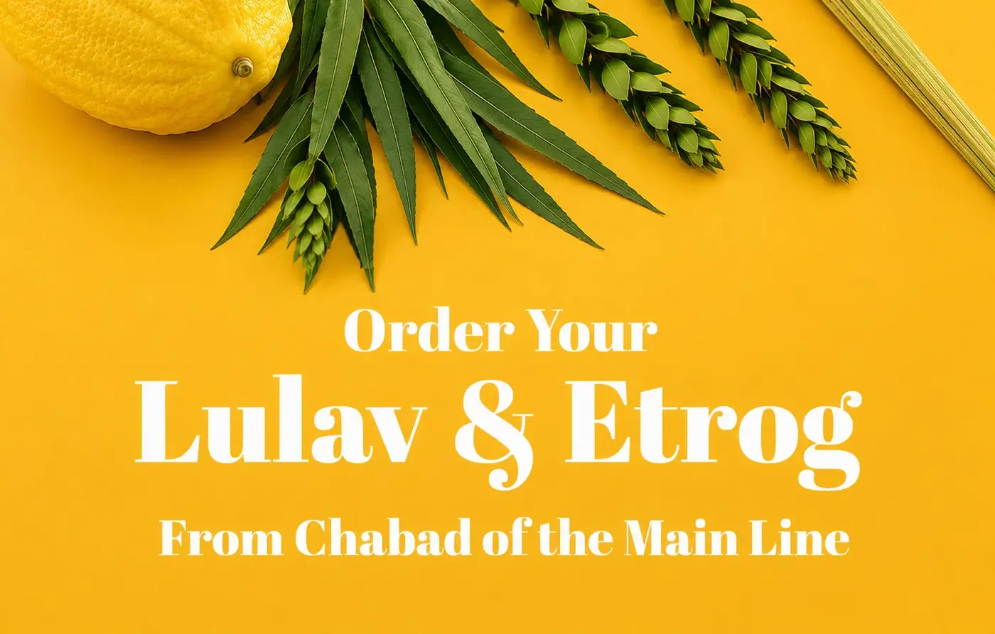 Chabad of the Main Line