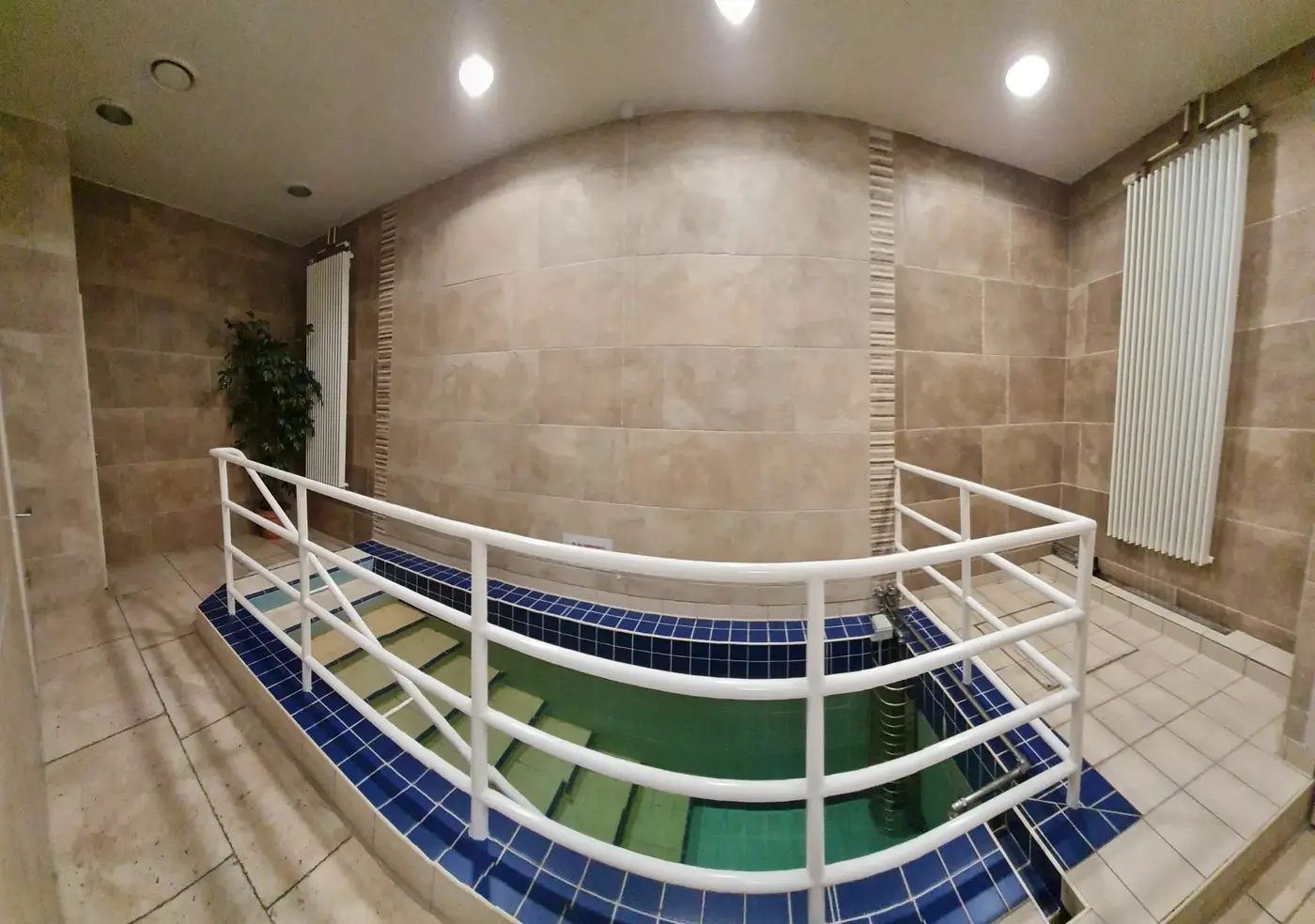 Mikvah