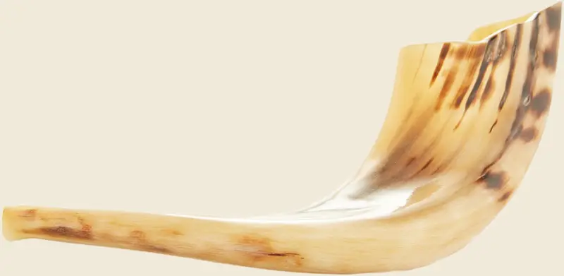 Shofar