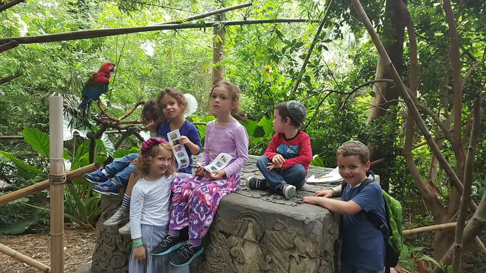 Slater Torah Academy