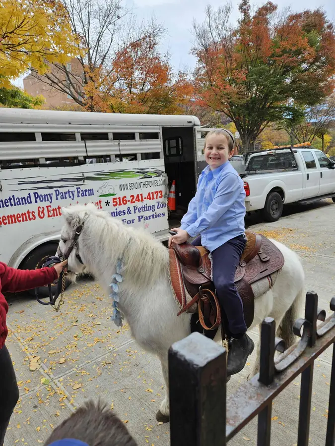 Parsha Noach Petting Zoo Yoni Sarue October 1, 2024 0