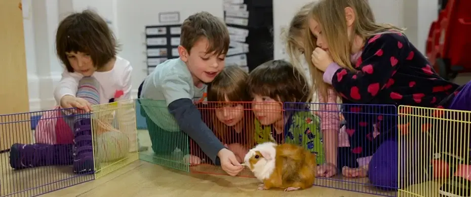 MyLittleSchoolNYC.com