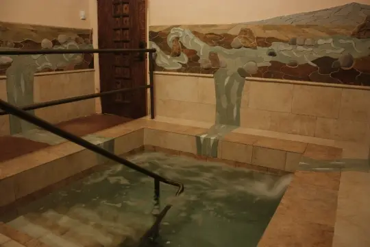 The Moise and Chella Safra Mikvah