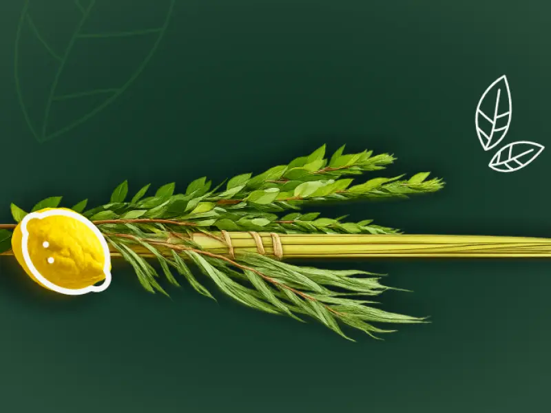 Sukkot & Simchat Torah