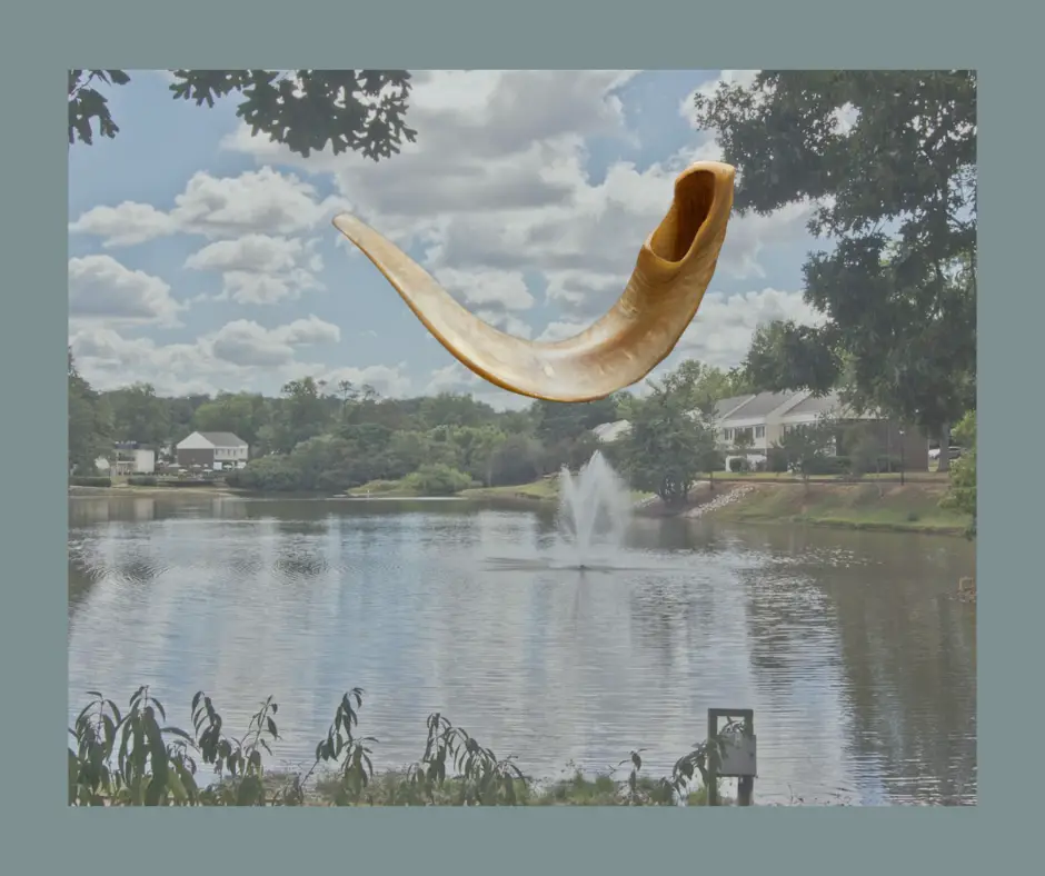 Tashlich & Shofar