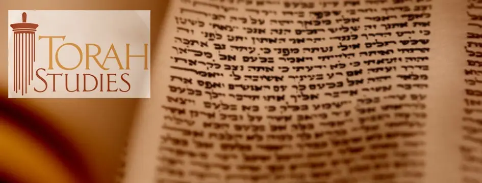 Jewish Insights Enrich your week with a dose of thought-provoking Jewish learning.