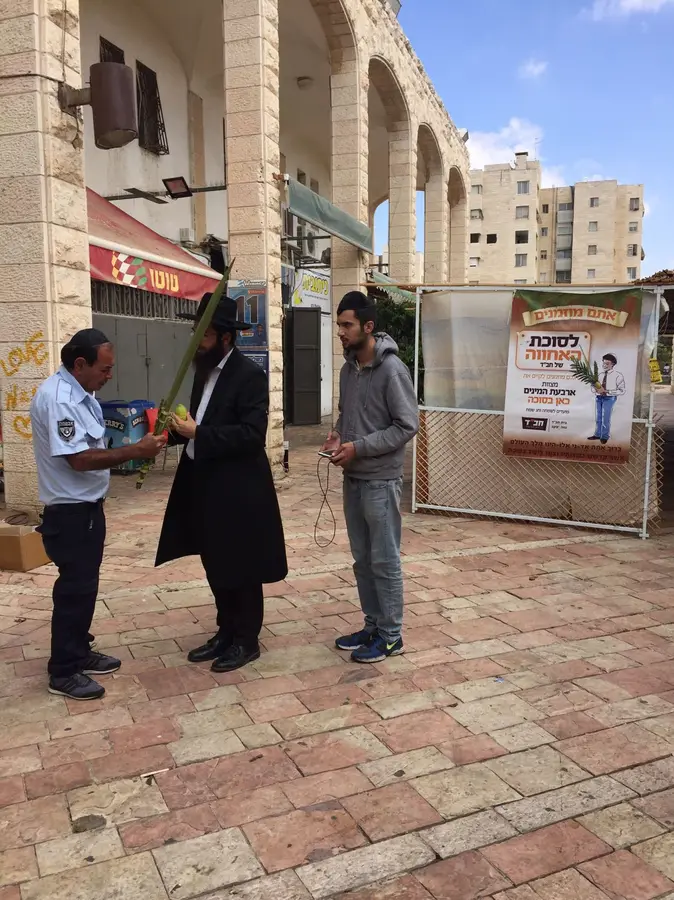 במשך ימי חג הסוכות יוצאים בחורים ואברכים לזכות יהודים בקיום מצוות ארבעת המינים. בנוסף, מדי ערב מתקיים שמחת בית השואבה ברוב עם.