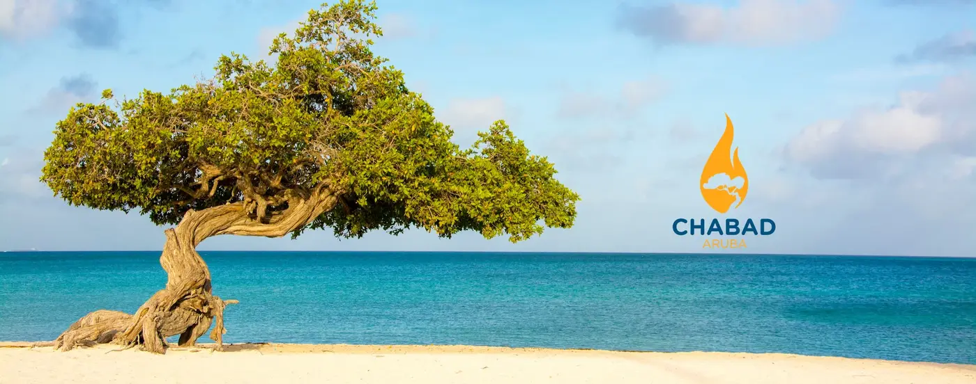 Map of Hotels near Chabad Aruba