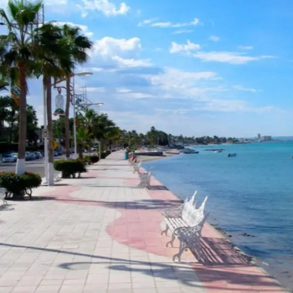 THE MALECON