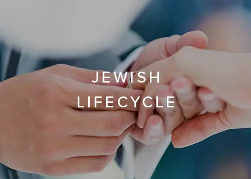 Jewish Lifecycle