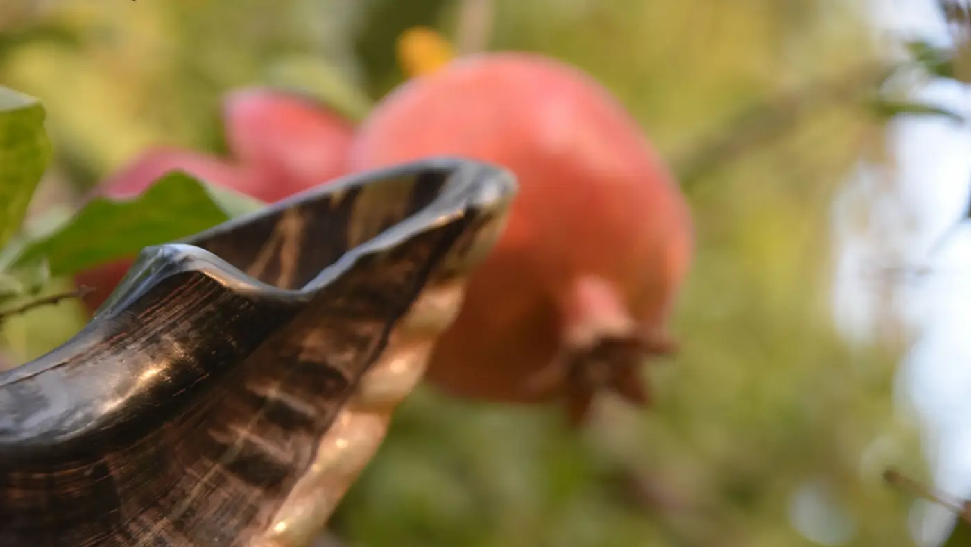 ‍ ‍Shofar Happy Hour ‍ ‍ JOIN HERE!