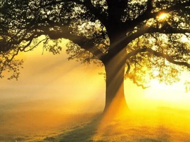 finding-sunshine.jpg