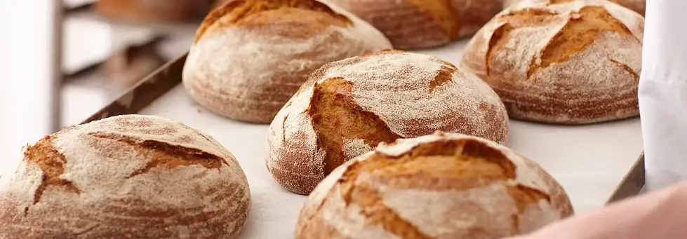 Fresh Bread Rolls