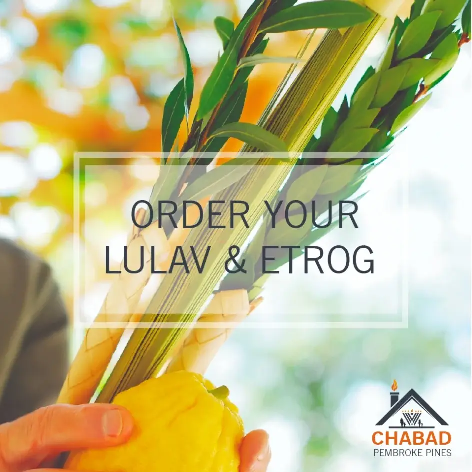 Please order before 9/18/2026