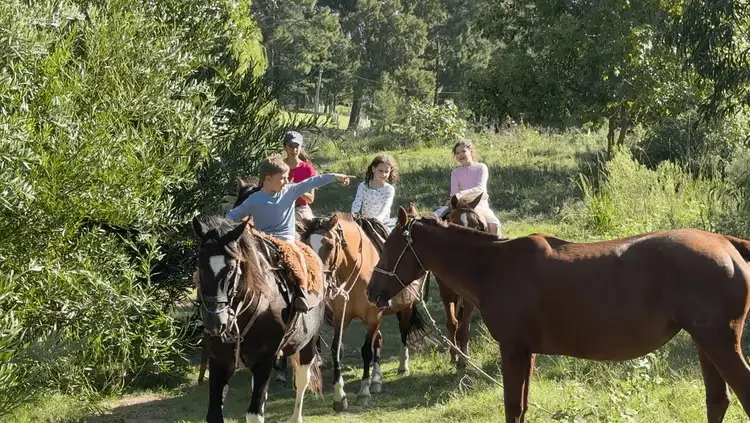 Horseback Riding