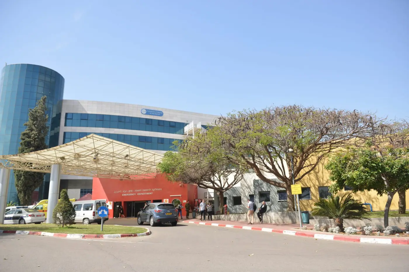 אסף הרופא – שמיר