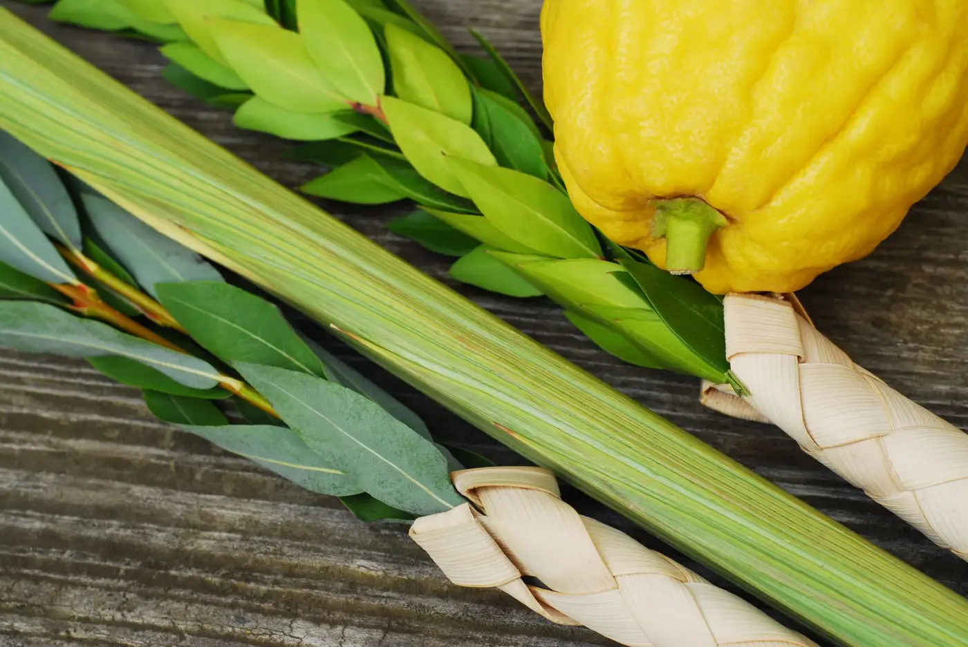 Purchase Lulav and Esrog