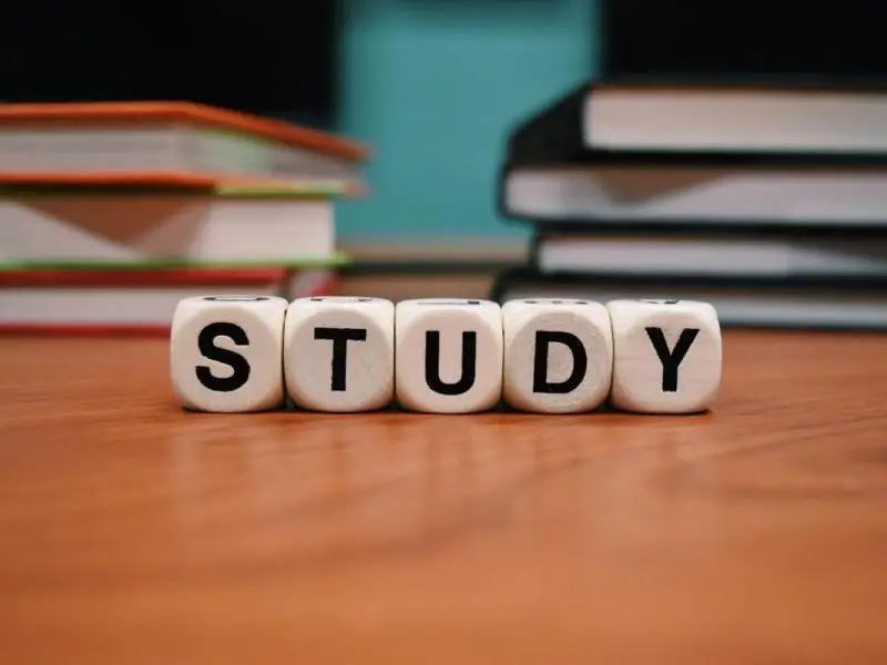 Torah Study