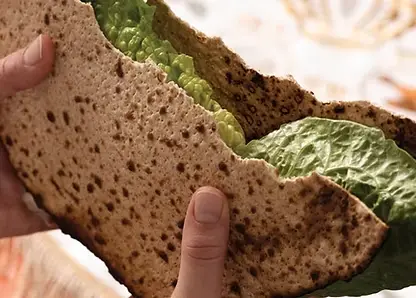 habad_loubavitch_marseille_pessah_seder