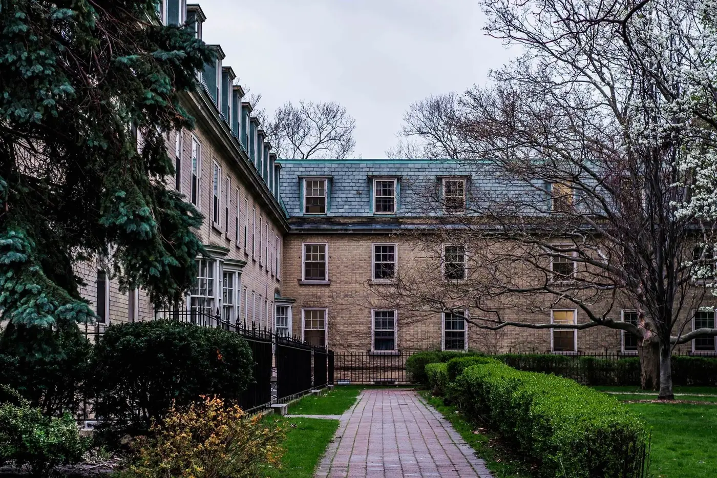 Chabad on Campus    Learn More