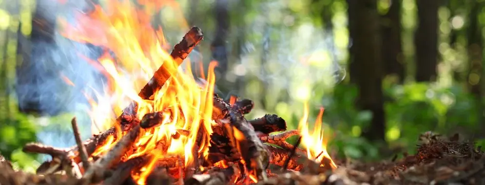 ב"ה Shabbat and Holidays Lag B'Omer Lag B'Omer 2025 Information Coming Soon...