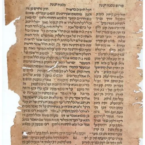 Talmud and Bagels Study Talmud While enjoying Kosher bagels and lox More Info