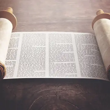 Bi-Co Torah Sunday, October 29th, 2023 Bi-Co Community Torah Dedication More Info