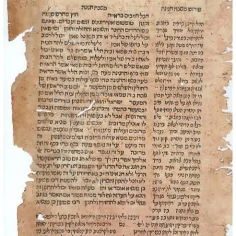 Talmud and Bagels Study Talmud While enjoying Kosher bagels and lox More Info