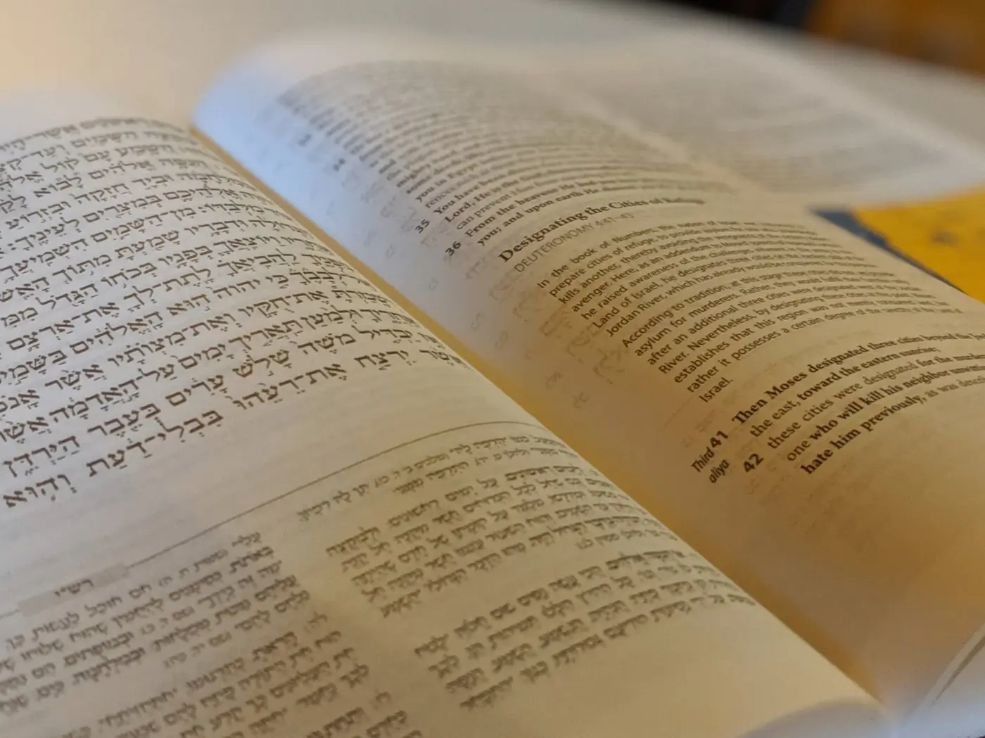 Torah study