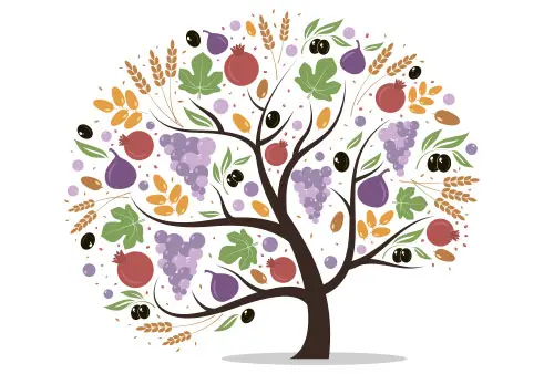 The New Year for Trees