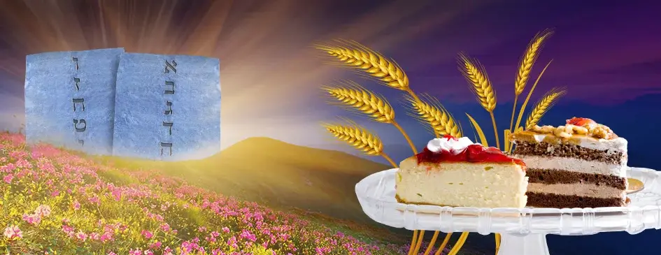 JewishSanLeandro.com