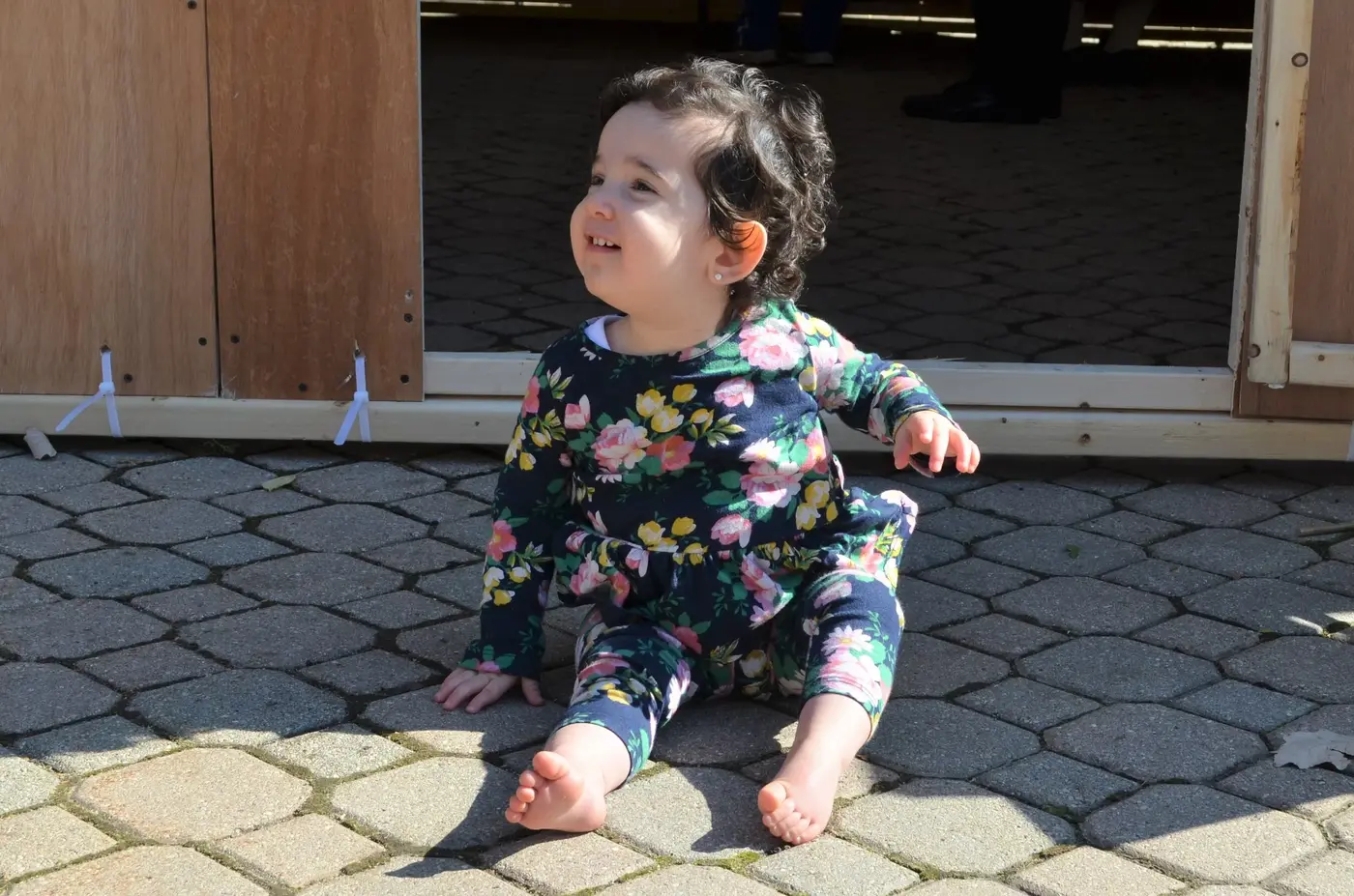 Open House Sukkot Party 5780/2019